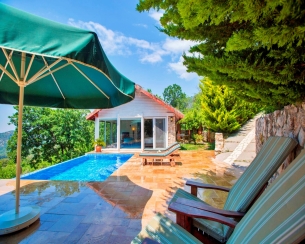 Villa Salkım Evi