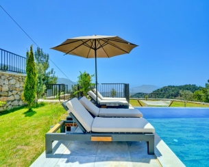 Villa Mercury 9