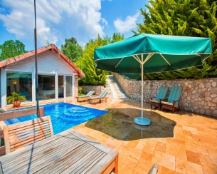 Villa Salkım Evi