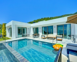 Villa Mercury 9