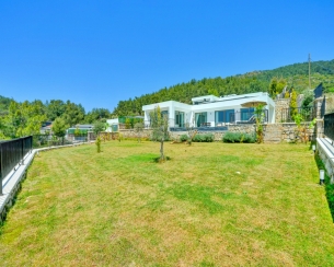 Villa Mercury 9