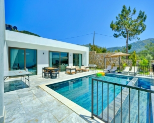 Villa Mercury 9