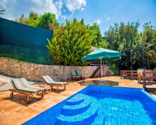 Villa Salkım Evi