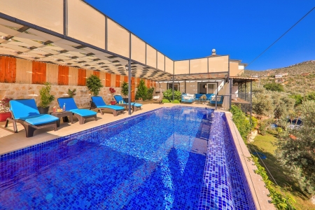 Villa Çalıkuşu 1 Resim