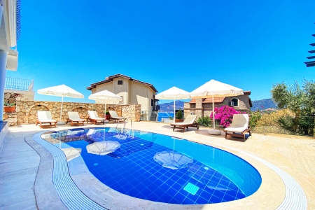 Villa Leo Kışla 1 Resim