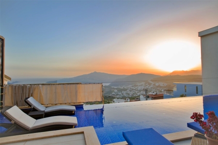 Villa Lion 2 Resim