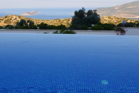 Villa Tiger 1 Resim