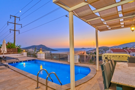 Villa Palm 3 Resim