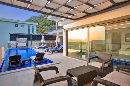 Villa Lion 3 Resim