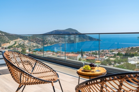 Villa Nova 3 Resim